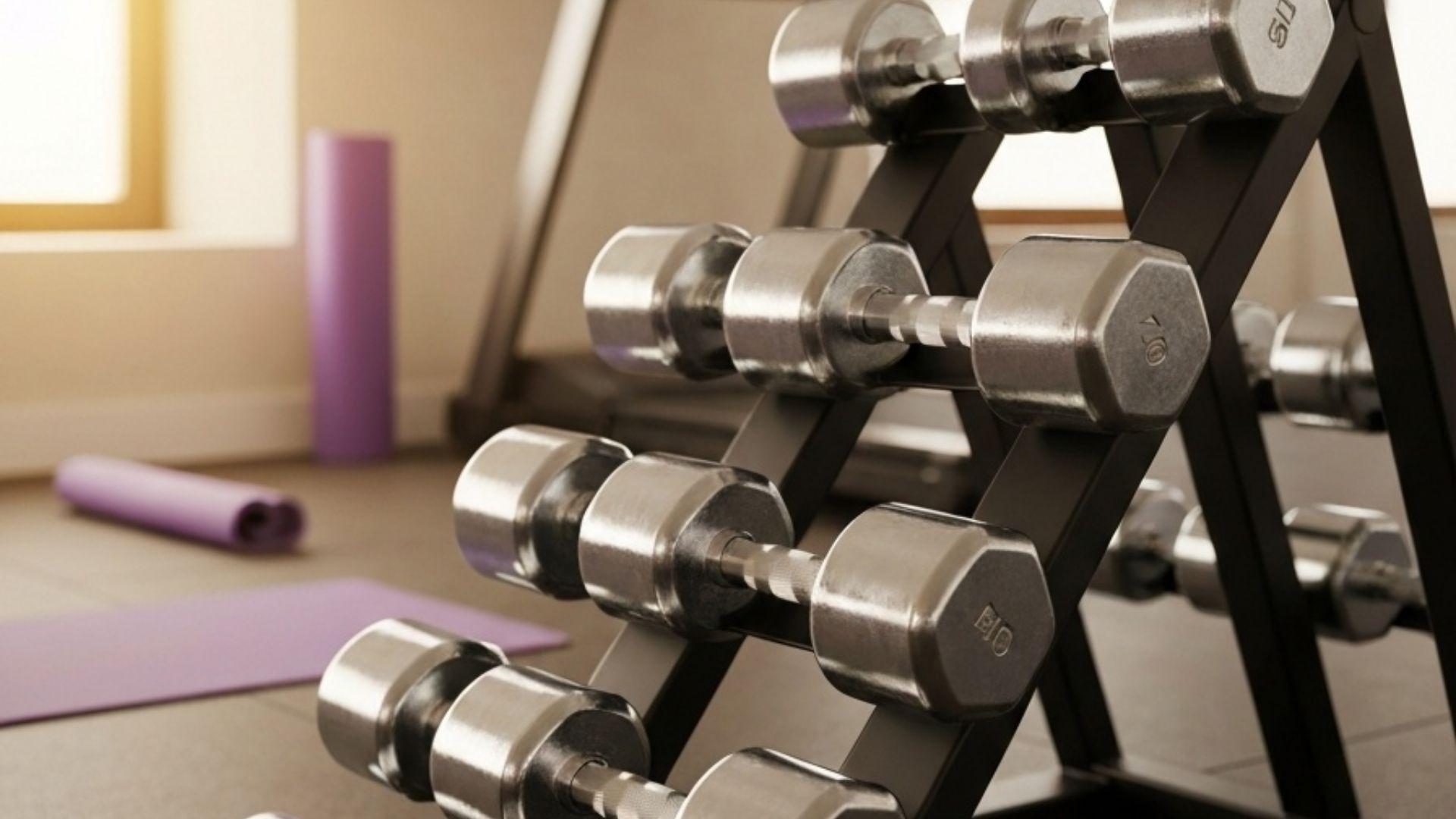 Pent organisert manualstativ med håndvekter i ulike vektklasser i et hjemmegym