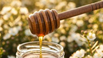 Manuka honning med honningskje og manukablomster