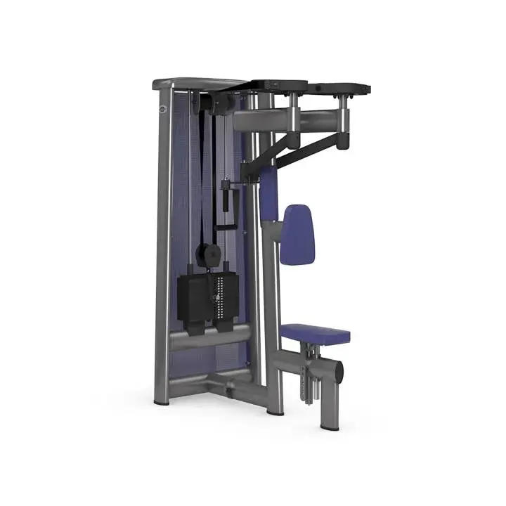 gym80 Sygnum Reverse Butterfly, profesjonell reverse fly maskin for bakre skulderhode